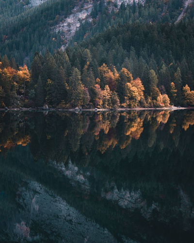 Reflection of trees in lake during autumn