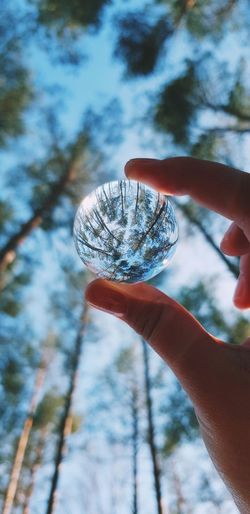 Close-up of hand holding crystal against trees