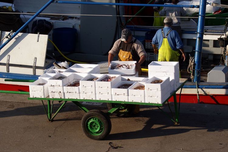 Fishermen unloading fish from trawler 
