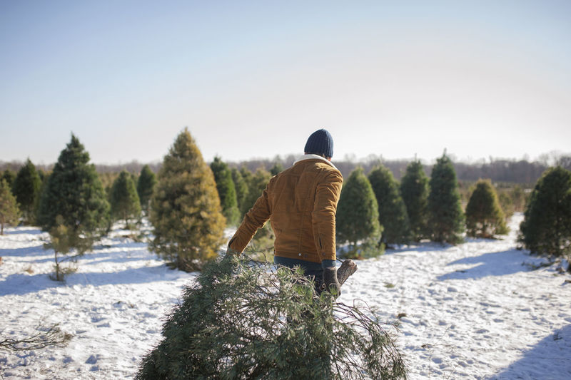 Man carrying christmas tree on snow covered farm against sky