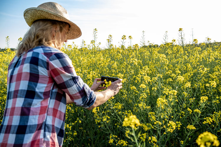 Portrait from behind of a girl taking a photo in a rapeseed field