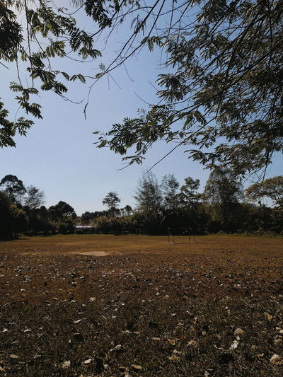 Scenic view of field against clear sky