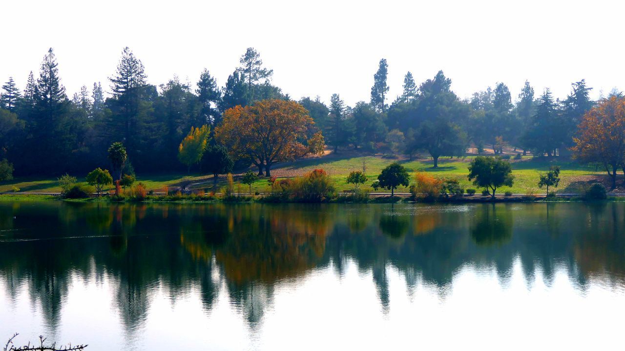 SCENIC VIEW OF LAKE AGAINST TREES DURING AUTUMN