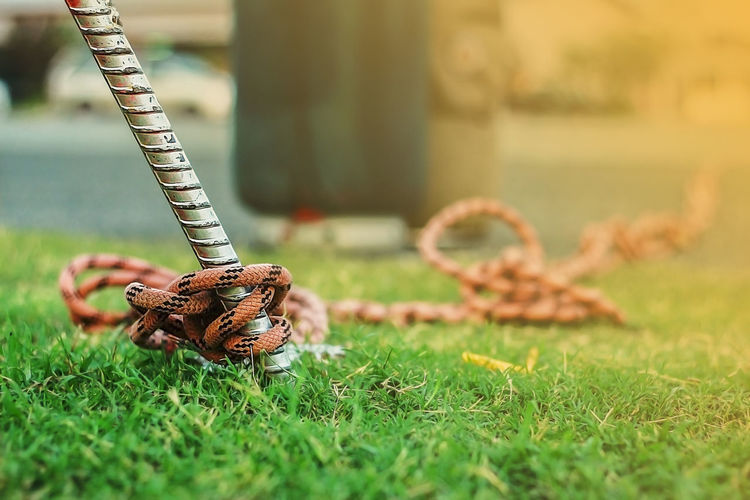 Close-up of rope on field