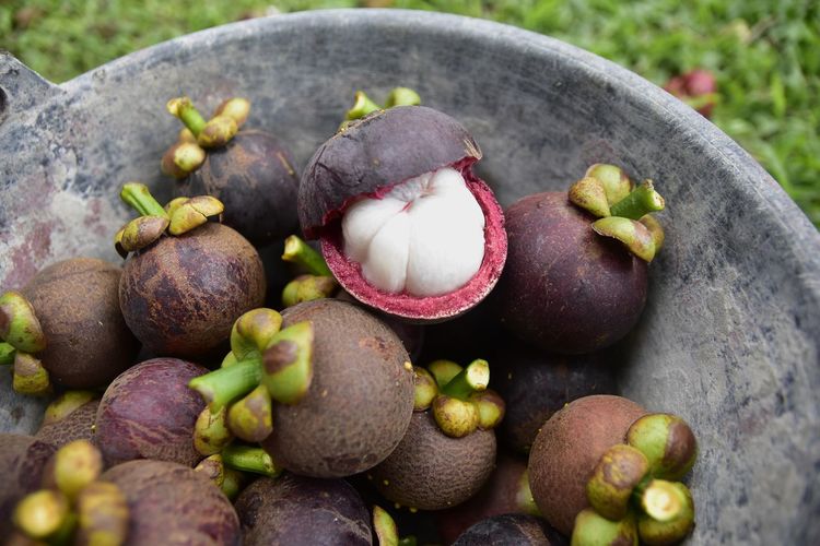 High angle view mangosteen placed in a black tank