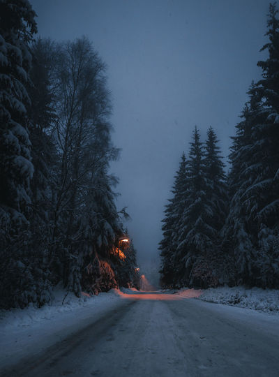 Road amidst trees during winter at night