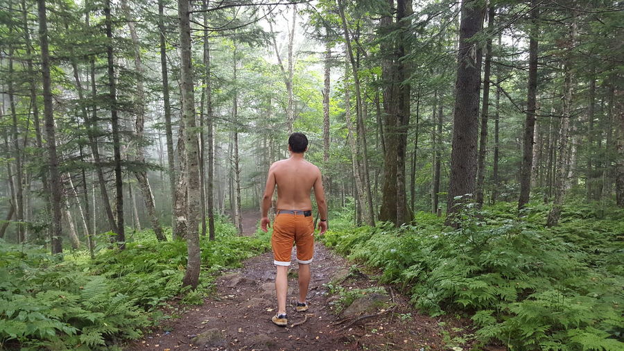 Rear view of shirtless man walking in forest