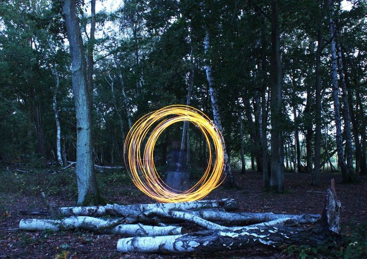 Light painting on tree trunk in forest