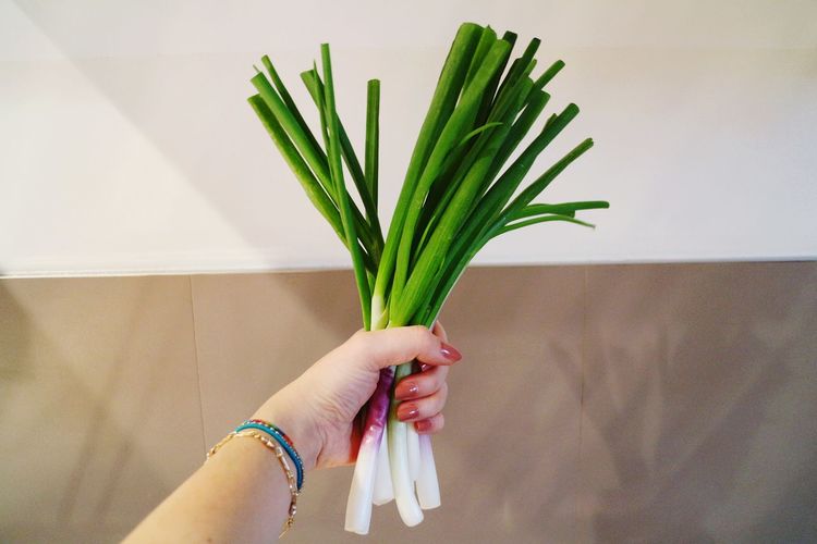 Cropped hand holding spring onions against wall