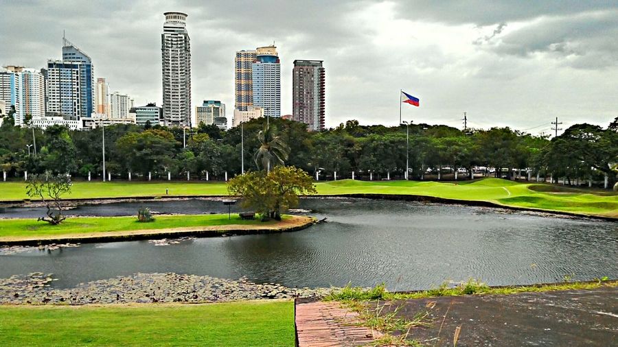 View of park with buildings in background