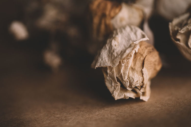 Close-up of dried leaves on table