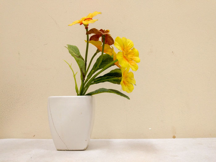 Close-up of yellow flower pot against wall