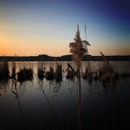 Scenic view of lake against clear sky during sunset