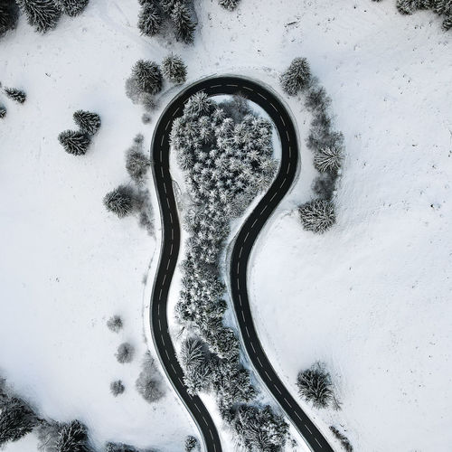 High angle view of snow covered trees on field