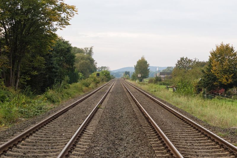 Railroad tracks amidst trees against sky