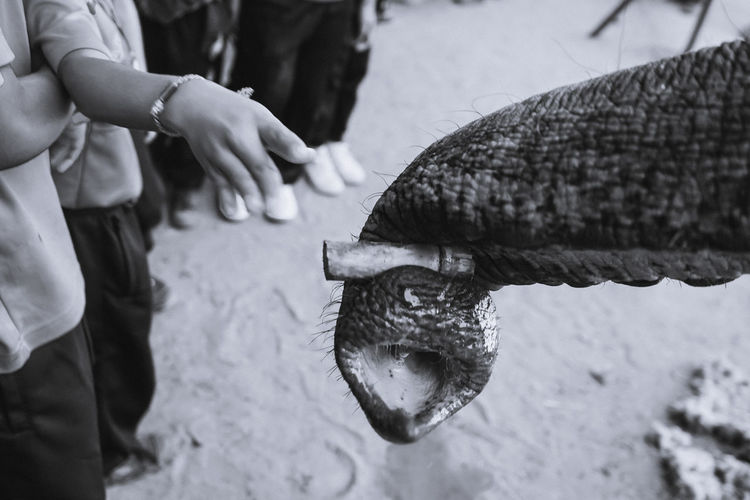 People holding fish