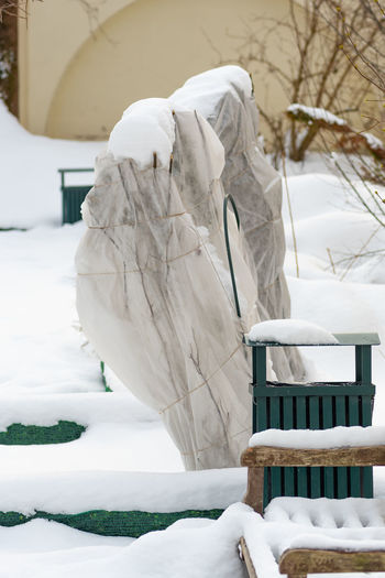 Plants and trees in a park or garden covered by the snow and blanket, swath of burlap