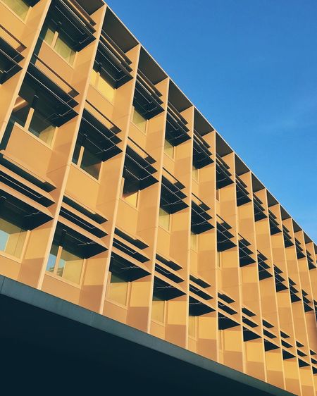 low angle view