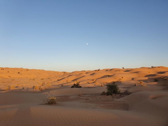 The moon over the sahara desert