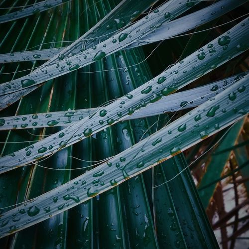 Water drop