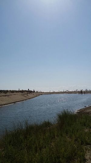 Scenic view of landscape against clear sky