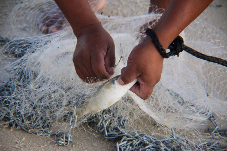 Low section of fisherman removing fish from net at beach
