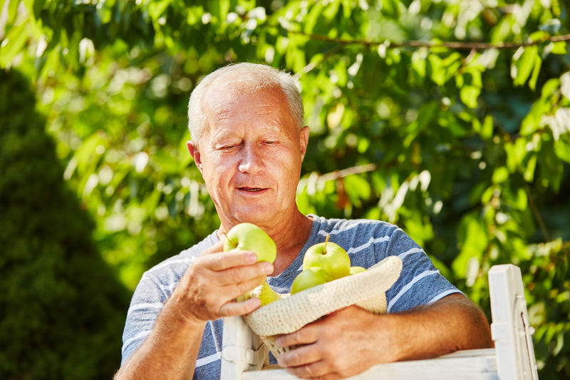 Smiling senior man holding apples