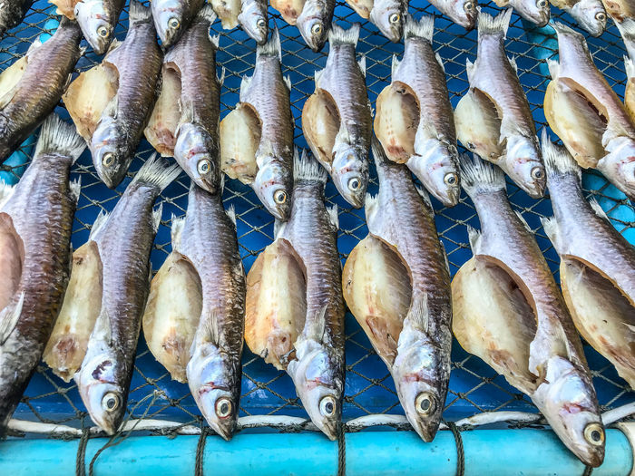High angle view of dried fish for sale in market