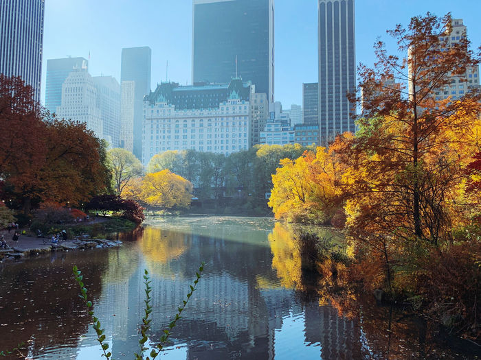 Trees by lake against buildings in city during autumn
