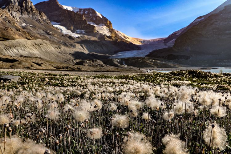 Scenic view of field and mountains against sky