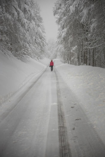 Rear view of person walking on snow covered road