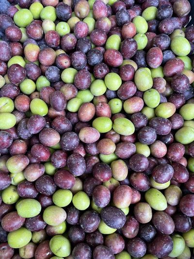 Rainbow olives