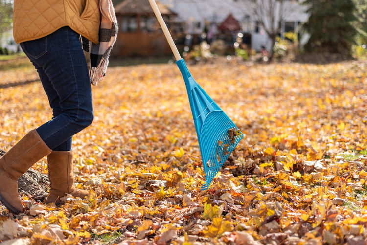 Cropped lower body closeup of woman raking leaves in backyard in autumn
