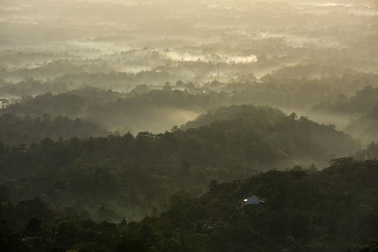 Misty morning at bukit naga, pati, central java, indonesia