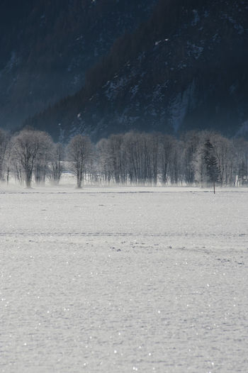 Bare trees at frozen lakeshore against mountain