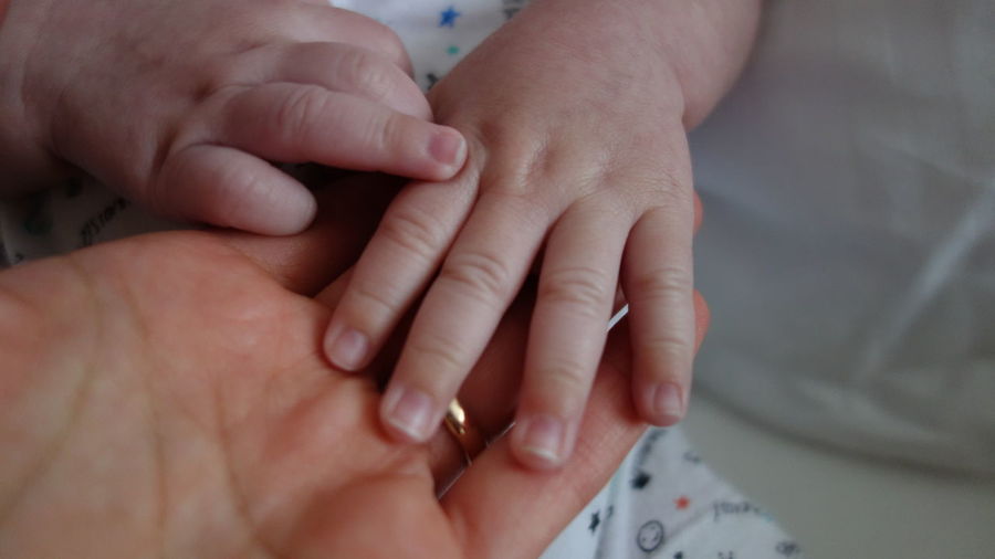 Cropped hands of parent and baby