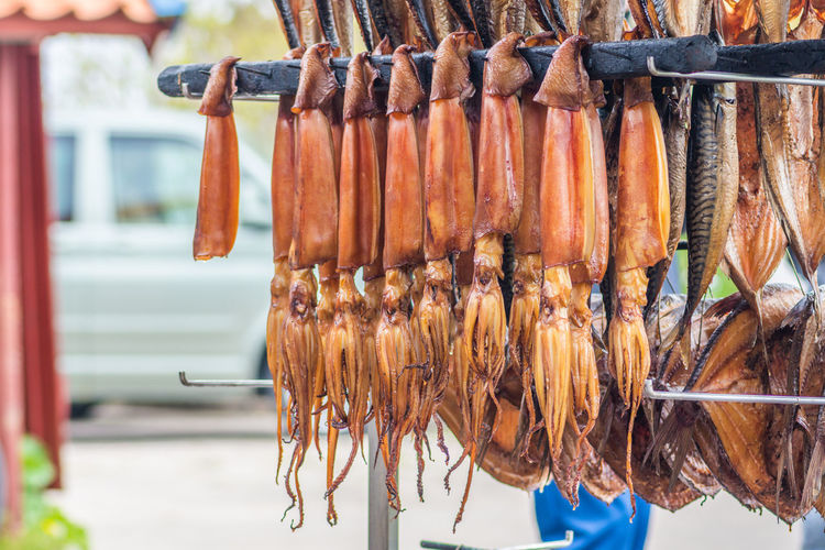 Close-up of fish hanging on rack