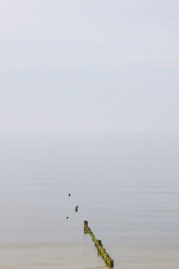 Row of wooden posts in sea against sky