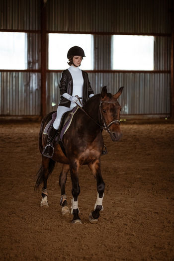 Young woman is engaged in equestrian sports