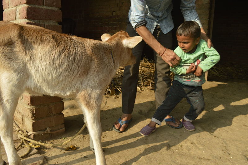 Low section of father holding son by calf