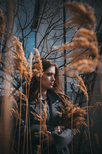 Portrait of young woman looking at bare tree in winter