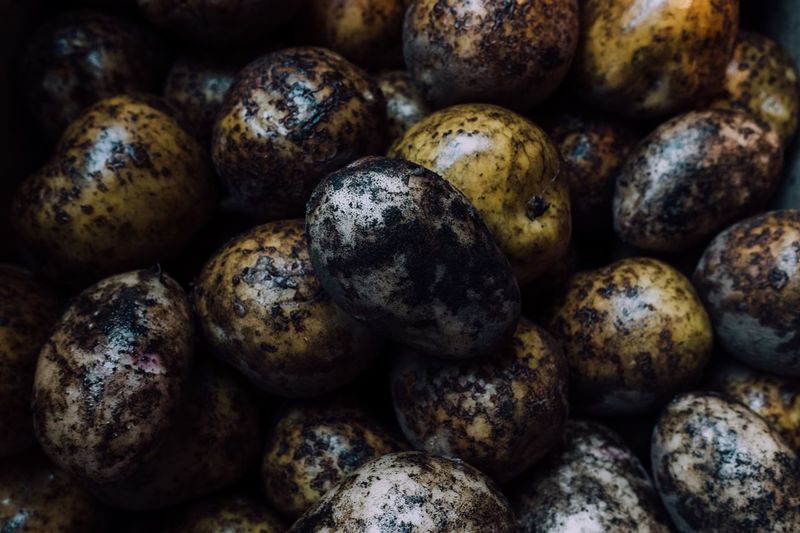 Full frame shot of raw potatoes