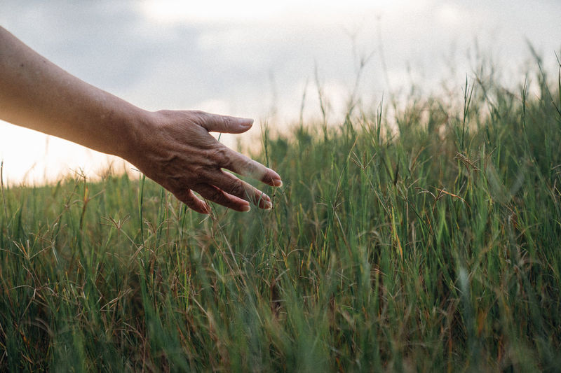 Cropped hand of woman with arms outstretched on field