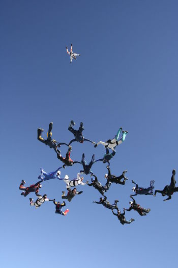 Low angle view of skydivers against clear blue sky