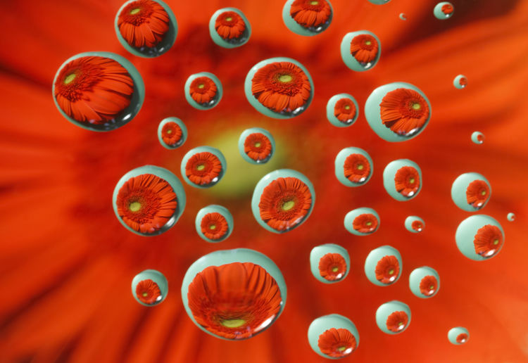 Full frame shot of bubbles