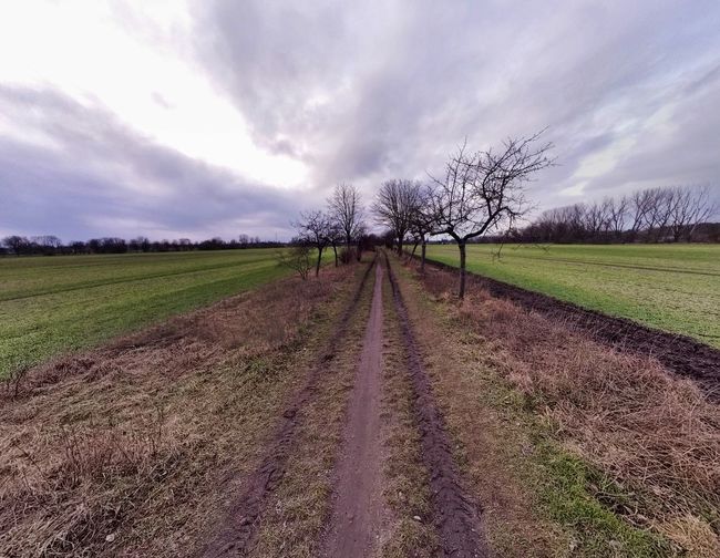 sky