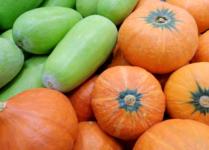 Heap of vivid orange pumpkins and vibrant green winter melons