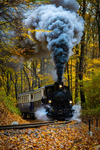 Train on railroad track amidst trees during autumn