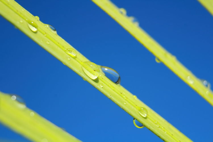 Close-up of raindrops on blue sky