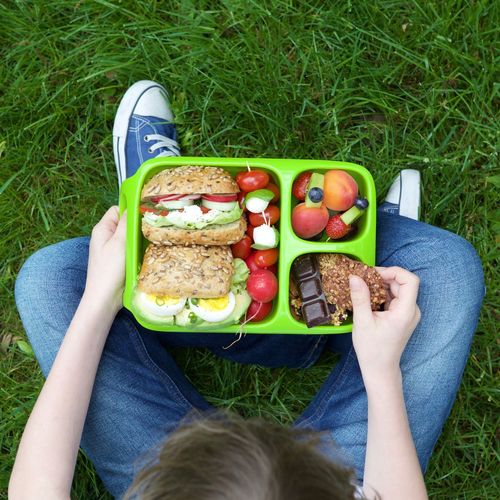 Directly above shot of child holding food in plastic plate on grassy field